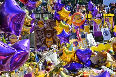 DSC_7171 (Large).JPG